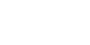 finseca nailba interim wt (1)